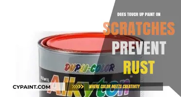 Touch-Up Paint: Rust Prevention or Temporary Fix?