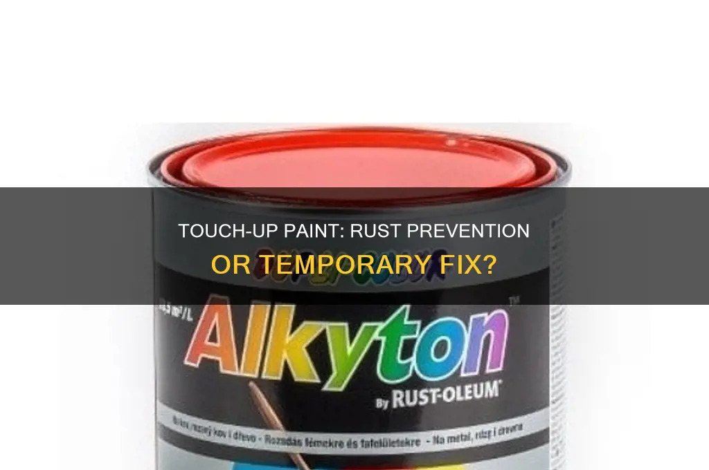 does touch up paint on scratches prevent rust