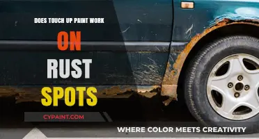 How Touch-Up Paint Can Fix Rust Spots
