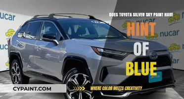 Silver Sky Toyota: A Hint of Blue?