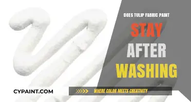 Does Tulip Fabric Paint Withstand Washing? A Durability Test