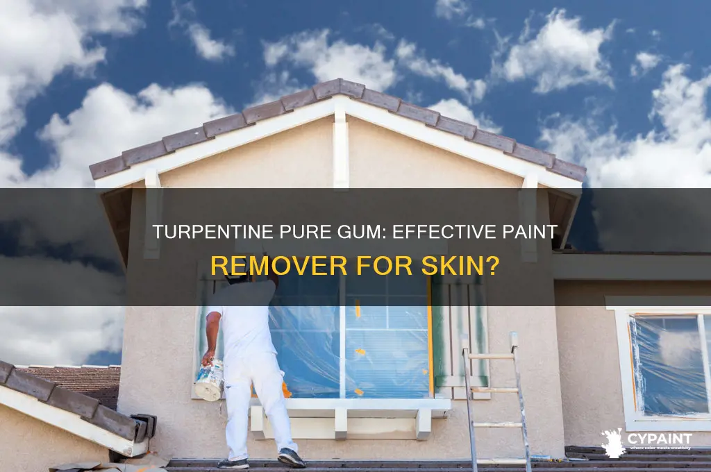 does turpentine pure gum take off paint from the skin