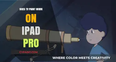 Does TV Paint Work on iPad Pro? A Comprehensive Guide