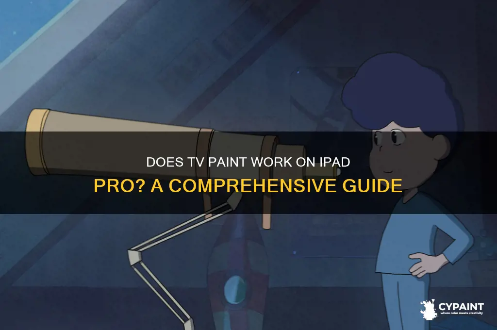 does tv paint work on ipad pro