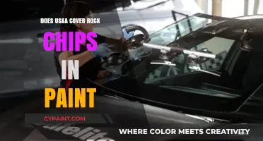 Does USAA Insurance Cover Rock Chips in Car Paint?