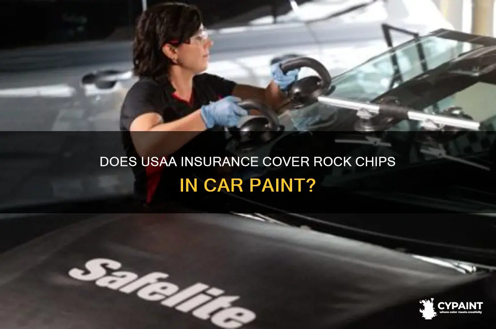 does usaa cover rock chips in paint