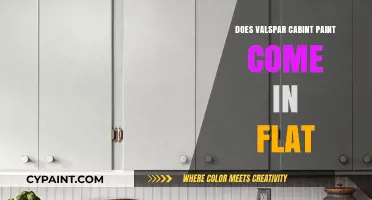 Valspar Cabinet Paint: Exploring Flat Finish Options for Your Kitchen