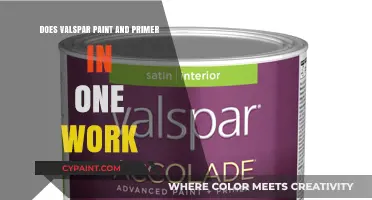 Valspar Paint and Primer: Does It Work?