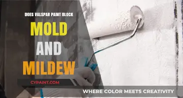 Valspar Paint: Effective Mold and Mildew Blocker or Myth?