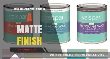 Valspar Paint: Can You Get a Matte Finish?