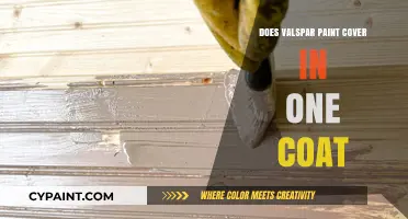Valspar Paint: One-Coat Coverage or Myth? Our Honest Review