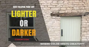 Does Valspar Paint Dry Lighter or Darker? Unveiling the Truth