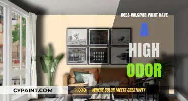 Valspar Paint Odor: Is It Strong or Low-VOC Friendly?