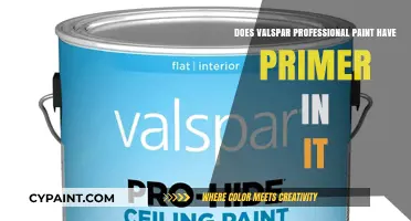 Valspar Professional Paint: Primer Included?