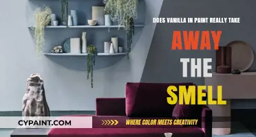 Vanilla and Paint: Does it Work?