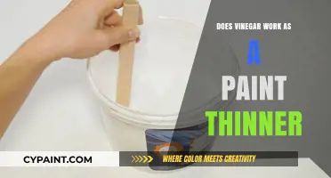 Vinegar as Paint Thinner: Effective Alternative or DIY Myth?