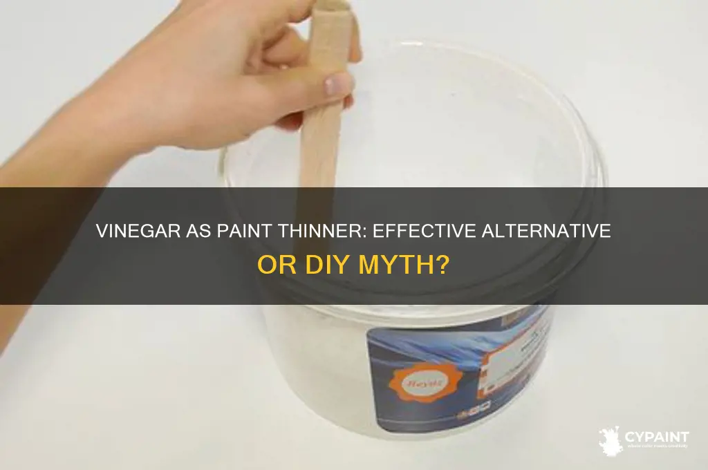 does vinegar work as a paint thinner