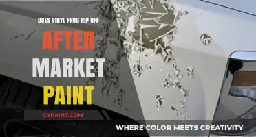 Vinyl Frog: Friend or Foe of Aftermarket Paint?