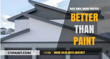 Vinyl Siding vs. Paint: Which Offers Superior Home Protection?