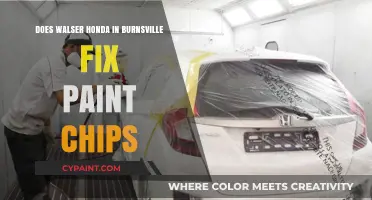 Walser Honda: Paint Chip Repair Pros in Burnsville