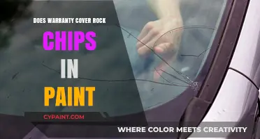 Does Warranty Cover Rock Chips in Paint? What You Need to Know