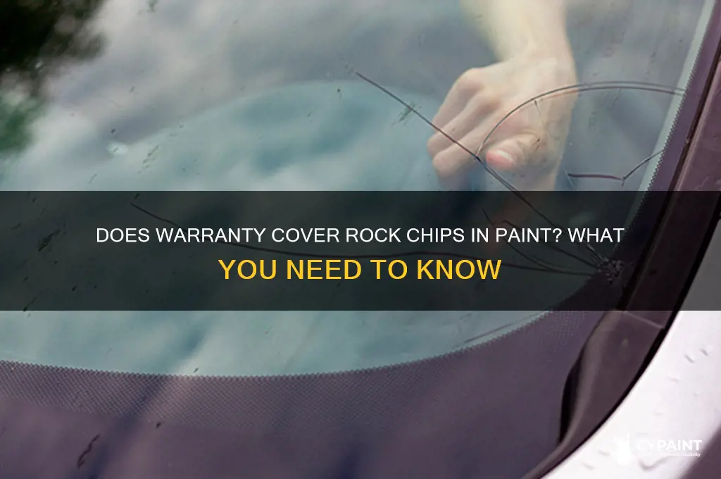 does warranty cover rock chips in paint