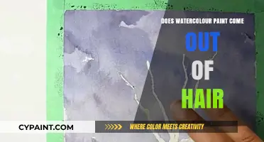 Watercolour in Hair: Removal Tips and Tricks for Artists