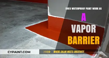 Waterproof Paint: Effective Vapor Barrier or Not?