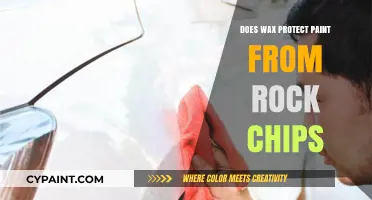 Wax vs. Rock Chips: Can It Shield Your Car's Paint?
