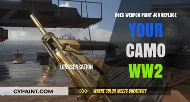 Weapon Paint Job: Camo Upgrade in WW2?