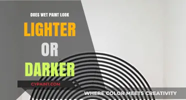 Wet Paint Illusion: Lighter or Darker? Unraveling the Visual Mystery