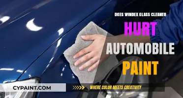 Can Windex Glass Cleaner Damage Your Car's Paint? Find Out Here