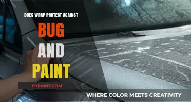 Does Wrap Shield Your Car from Bugs and Paint Damage?