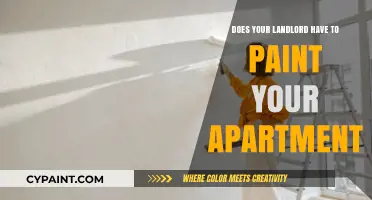 Landlord Responsibilities: Painting Your Apartment