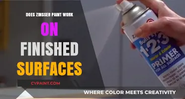 Can Zinsser Paint Be Applied to Finished Surfaces? A Guide