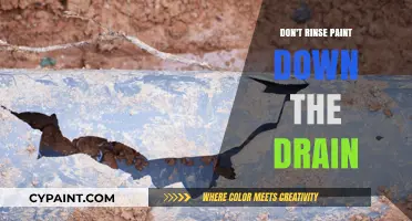 Avoid Drain Damage: Why Paint Should Never Go Down the Drain