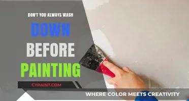 Why Washing Down Before Painting is Crucial