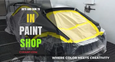 Mastering Paint Shop: Essential Do's and Don'ts for Perfect Results