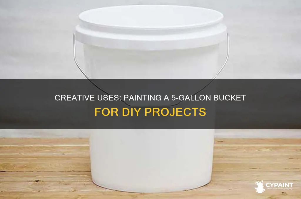 has anyone painted a 5 gal bucket