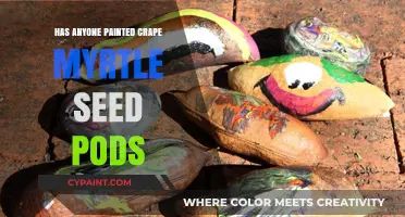 Exploring Art: Painting Crape Myrtle Seed Pods - Creative Ideas & Techniques