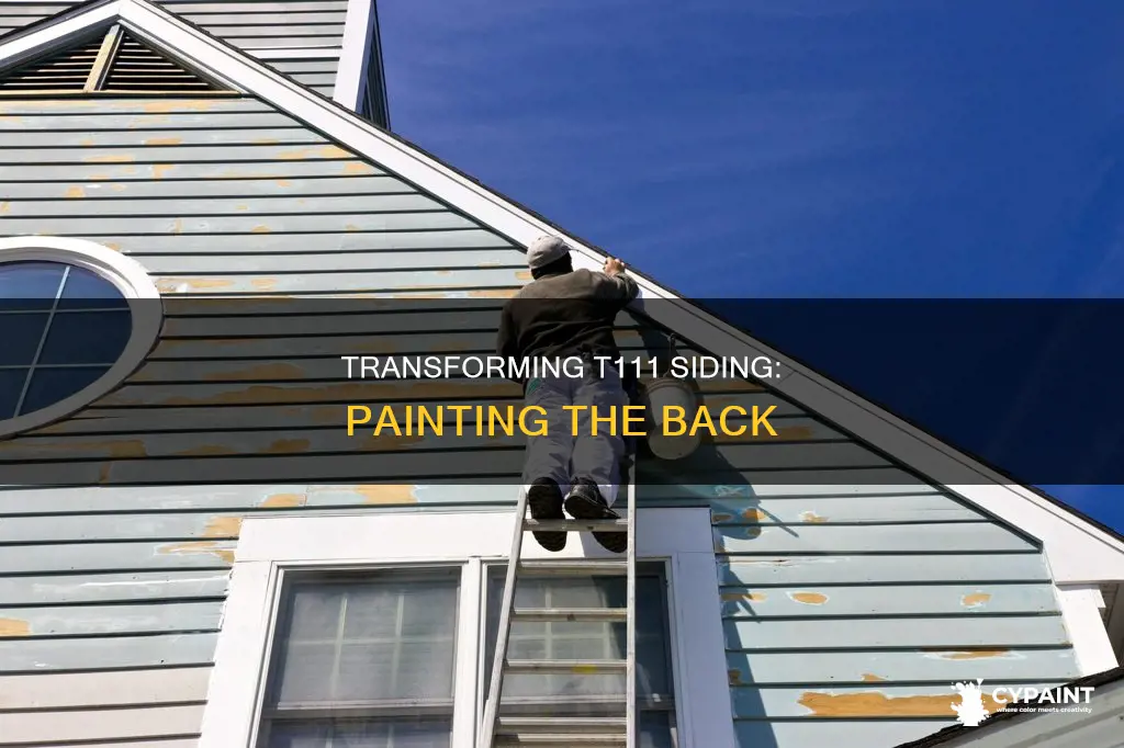 has anyone painted the back of their t111 siding