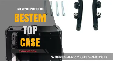 Customizing the Bestem Top Case: Artistic Transformations and Creative Ideas