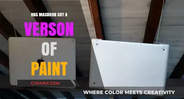 Does MacBook Have a Paint Equivalent? Exploring Creative Options
