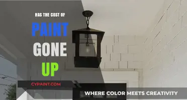 Rising Paint Prices: Understanding the Recent Surge in Costs