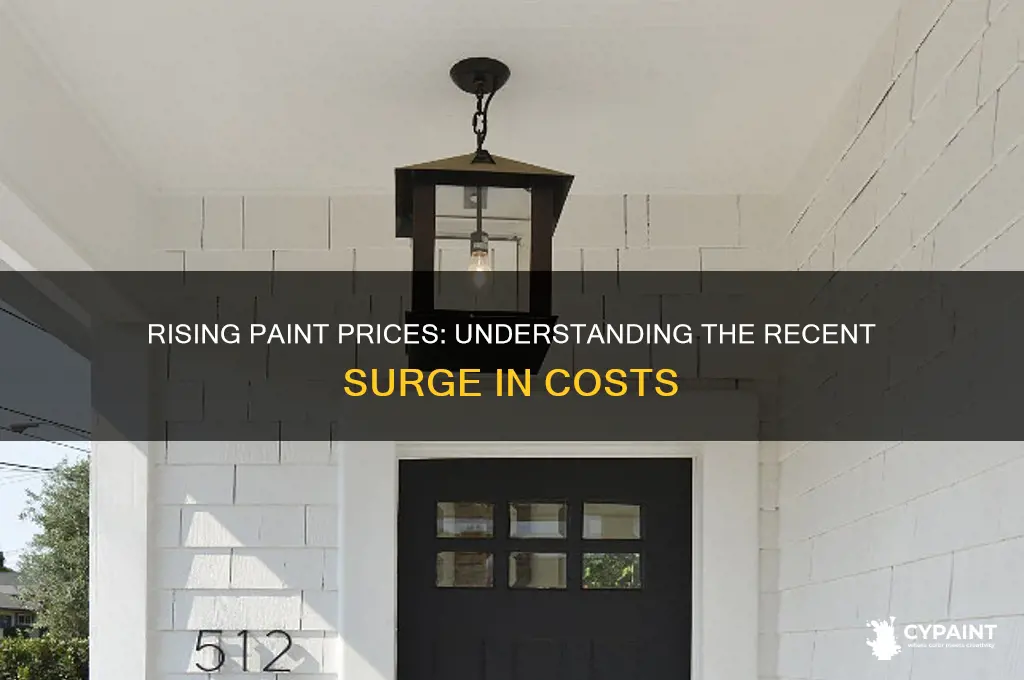 has the cost of paint gone up