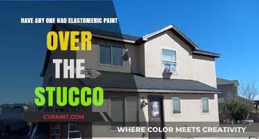 Stucco and Elastomeric Paint: A Perfect Match?