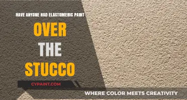 The Benefits of Elastomeric Paint on Stucco
