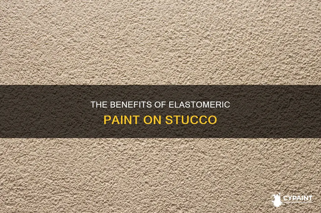 have anyone had elastomeric paint over the stucco