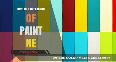 Exploring Color Tints: A Guide to Choosing the Perfect Paint Can