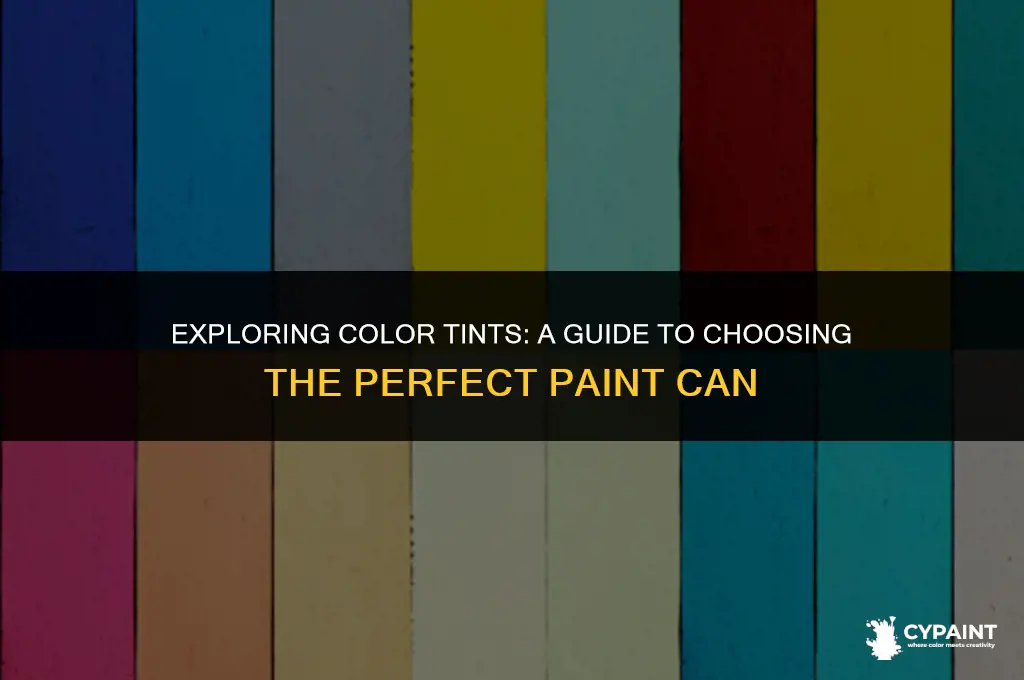 have colr tints on can of paint ne